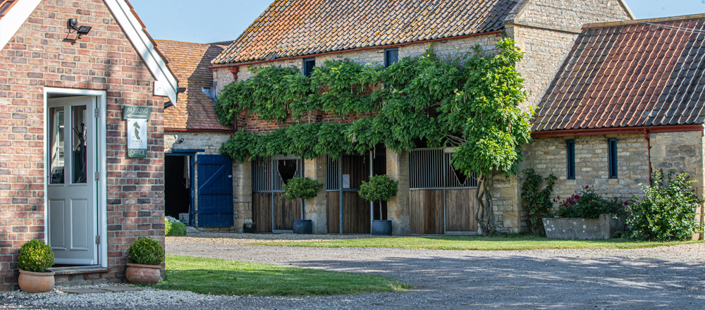 Tower Equine Veterinary Practice